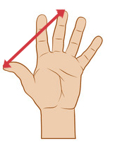 Comment mesurer sa main